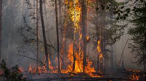 Gli incendi boschivi nella regione più fredda della Russia sollevano l'allarme per il disastro nucleare